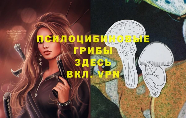 a pvp Заволжск