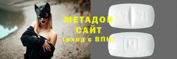 прущие грибы Заводоуковск