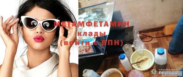 прущие грибы Заводоуковск