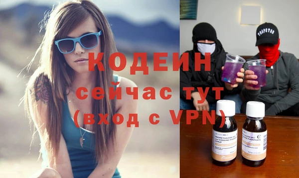 прущие грибы Заводоуковск