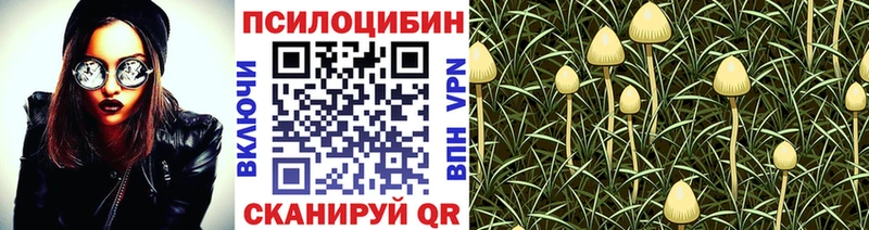 Псилоцибиновые грибы Cubensis  Новоаннинский 